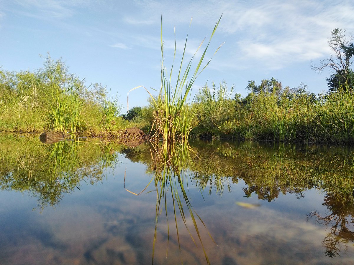 diego02aragon's tweet photo. #natural #agua #VERDE https://t.co/kl0oXmbJLn