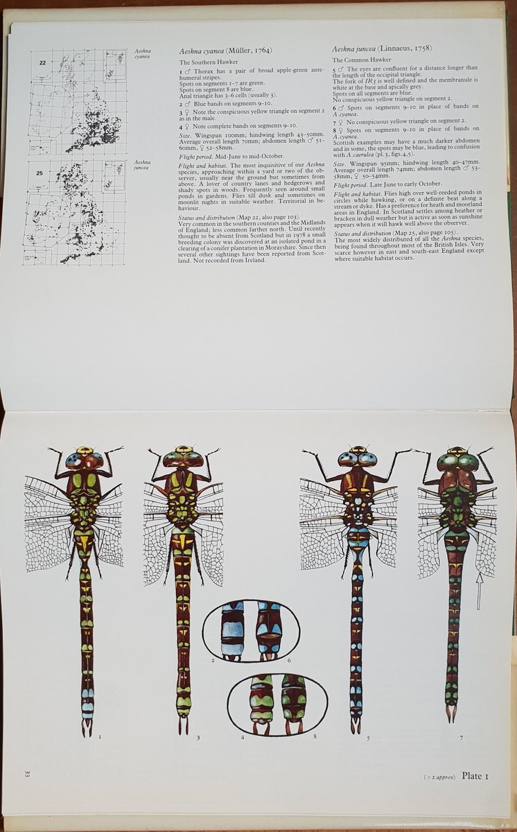 In 1977 Cynthia Longfield wrote a foreword for Cyril Hammond's Dragonflies of Great Britain & Ireland, the first of the modern generation of identification guides. The 2nd edition of 1983 added a new species.