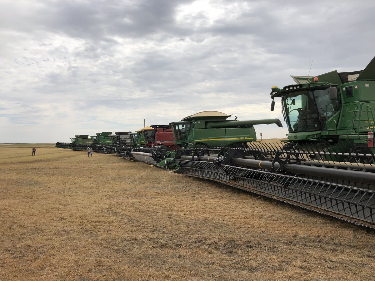 Fiske project w/ 7 combines (300 ft of header) took off 150 ac of red lentils in support of <a href="/Foodgrains/">Canadian Foodgrains Bank</a> 
A true community project, thnx to the many folks who gave time, energy, inputs, and leadership! @GMacsAgTeam <a href="/jillemartens/">Jill Tripp</a> <a href="/WiensSeedFarm/">Brennan Wiens</a>