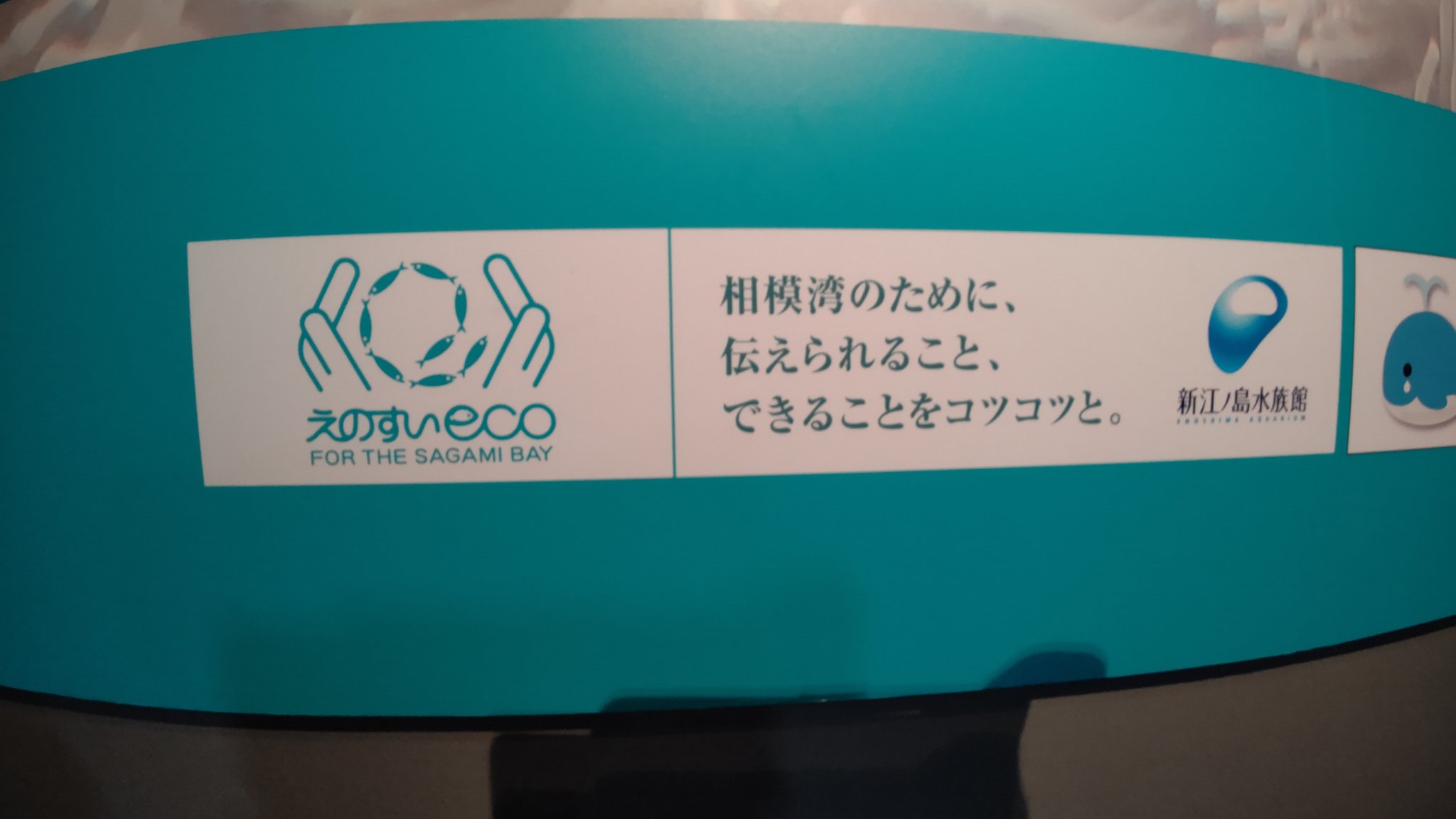Dj Haggy 昨日の８月１７日月曜日は 新江ノ島水族館えのすいeco親善大使として 新江ノ島水族館 のスタッフと関係者で 新江ノ島水族館前の片瀬海岸西浜を ビーチクリーン しました 暑いなか頑張りました たばこの吸い殻 ペットボトルが多かったです