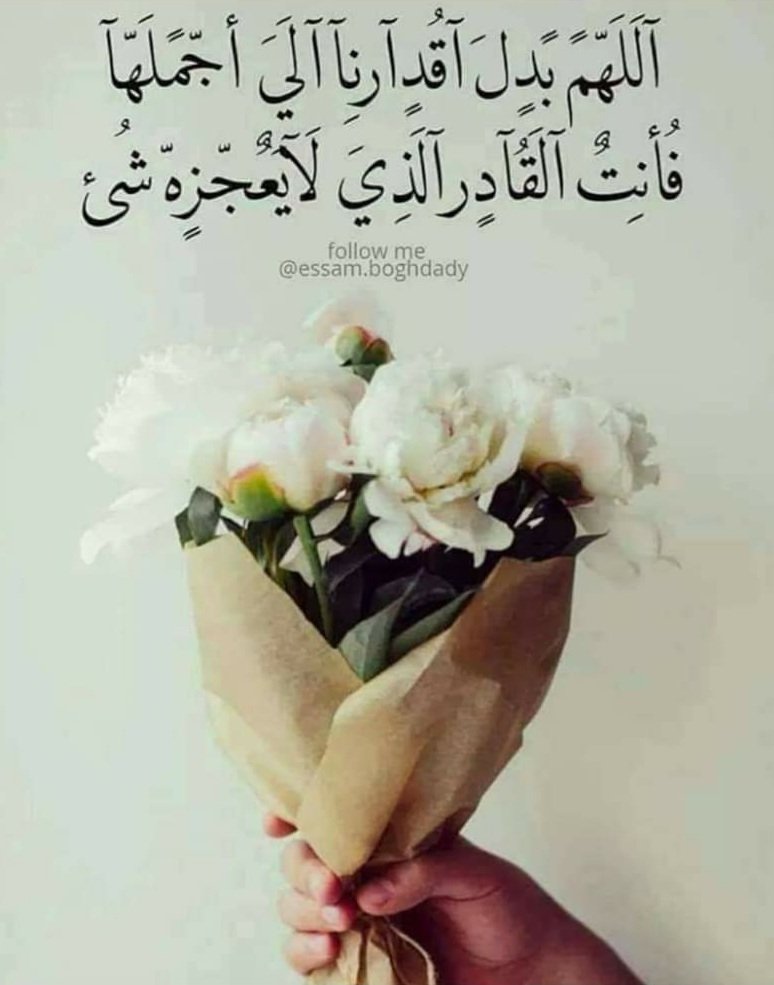 dodowalid633's tweet photo. https://t.co/lLfMP5I89J