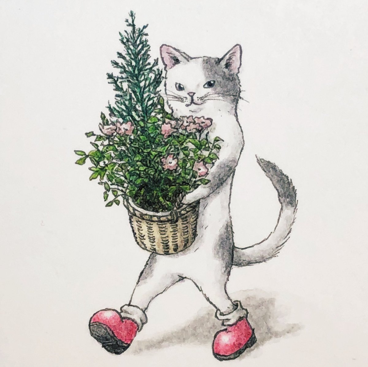 「『花と猫?』
 #イラスト  #過去絵 」|エルクポットの動物群像絵🐾のイラスト