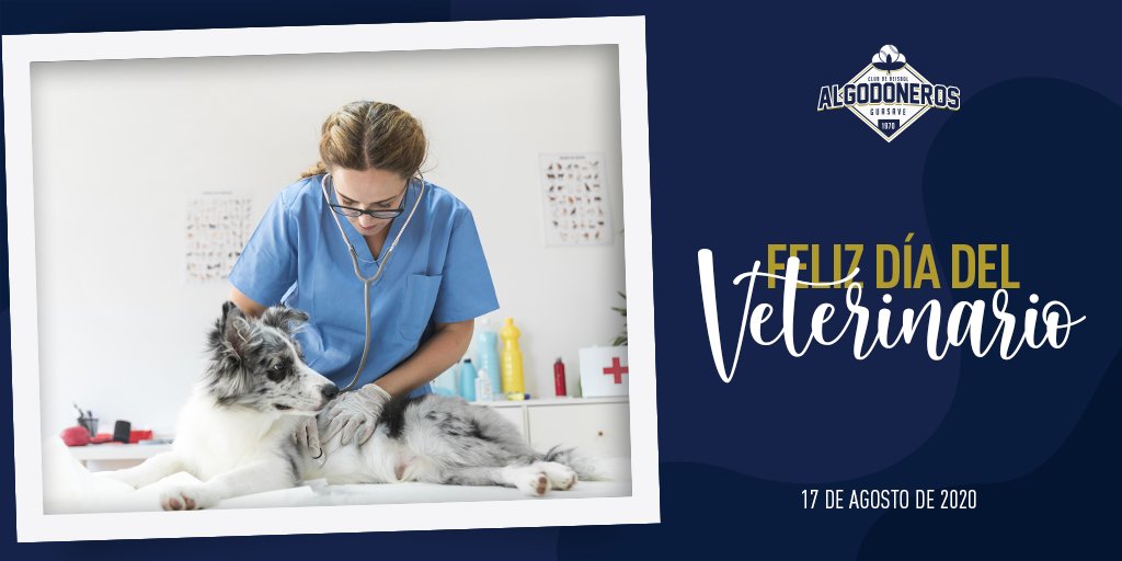 AlgodonerosGsv's tweet image. A todos ustedes que se dedican a ver por la salud de seres indefensos que no pueden avisar acerca de sus padecimientos, Algodoneros de Guasave admira y reconoce su noble profesión.
¡Muchas felicidades a los veterinarios hoy en su día!👩‍⚕️🧑‍⚕️

¡El #FuegoAzul está de vuelta!