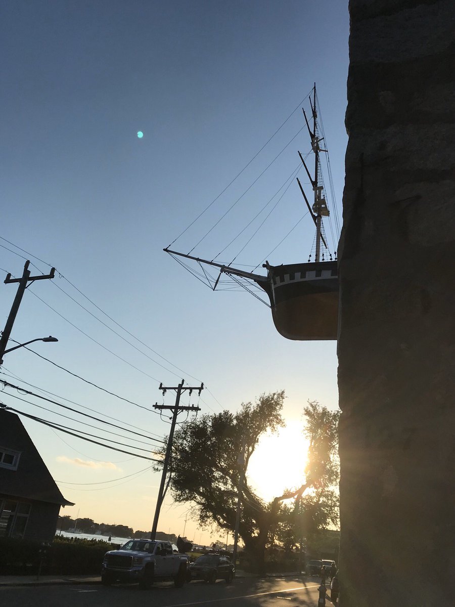 Anna Louise Magee (💜💀💚 Skullfragette 💜💀💚) tweet media