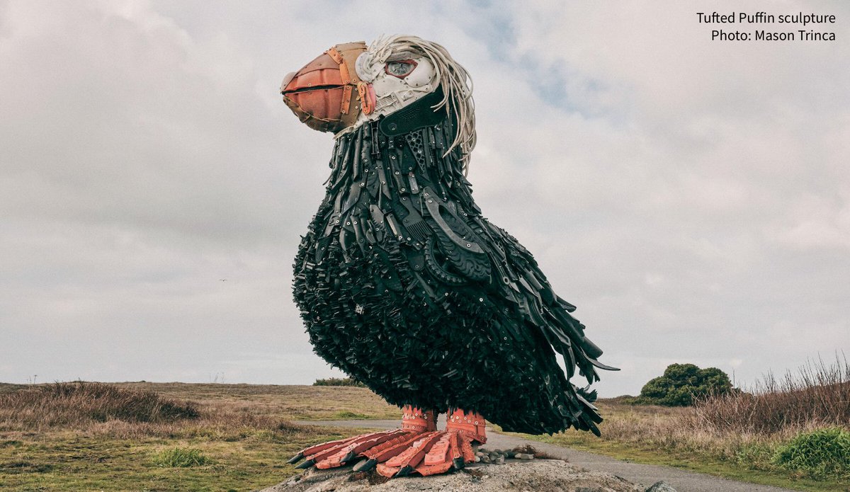 Cosmo the Tufted Puffin is one of the 80 sculptures made of plastic waste that Angela Haseltine Pozzi created to raise awareness about the harmful effects of plastic. Learn more about how she reimagined this bird: ow.ly/JJxf30r4tTe @julieleibach