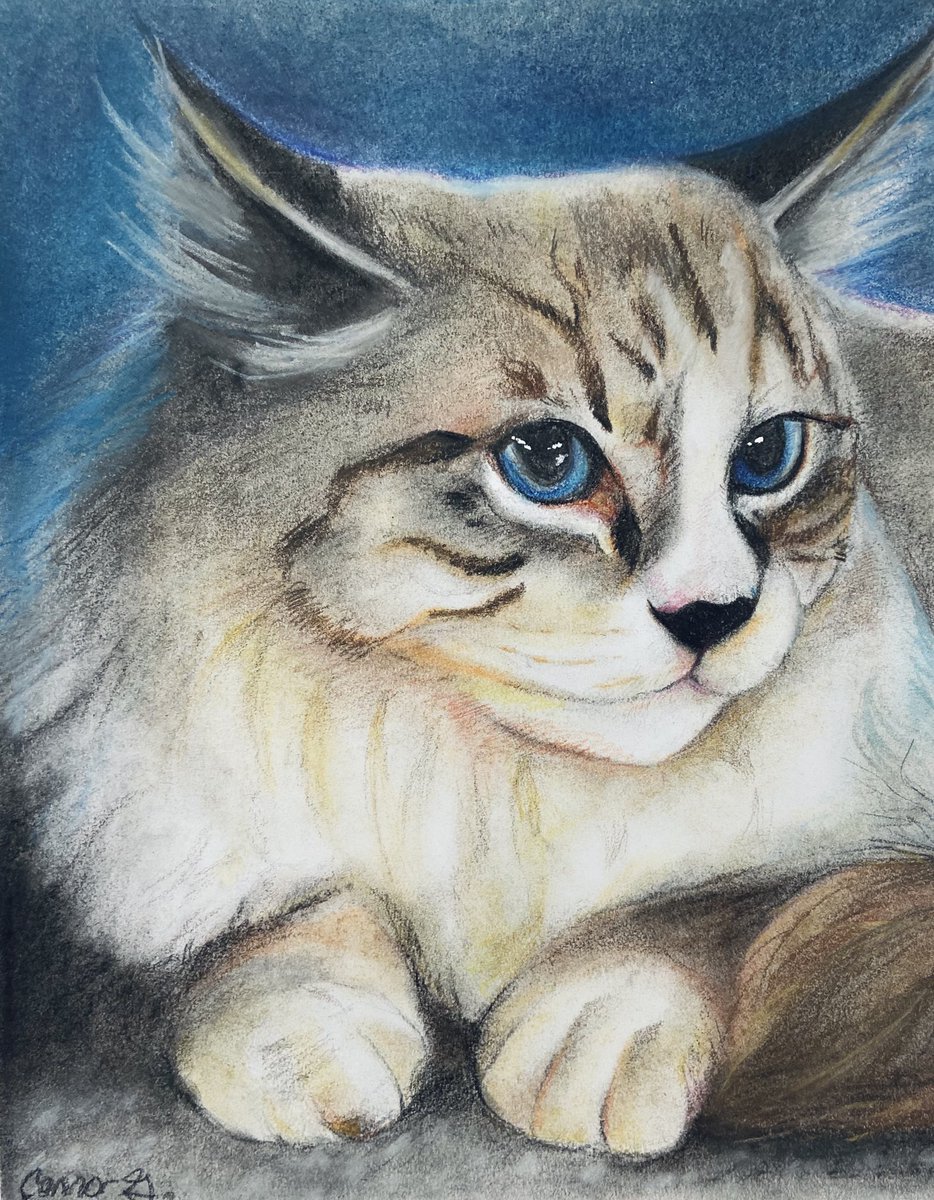 here’s something different from my usual work! finished a cat portrait in chalk pastels just now 💗 it’s really messy and wonky, but I don’t think i could have made it any cleaner than this haha. #artistsontwitter #cat #catportrait #chalkpastels