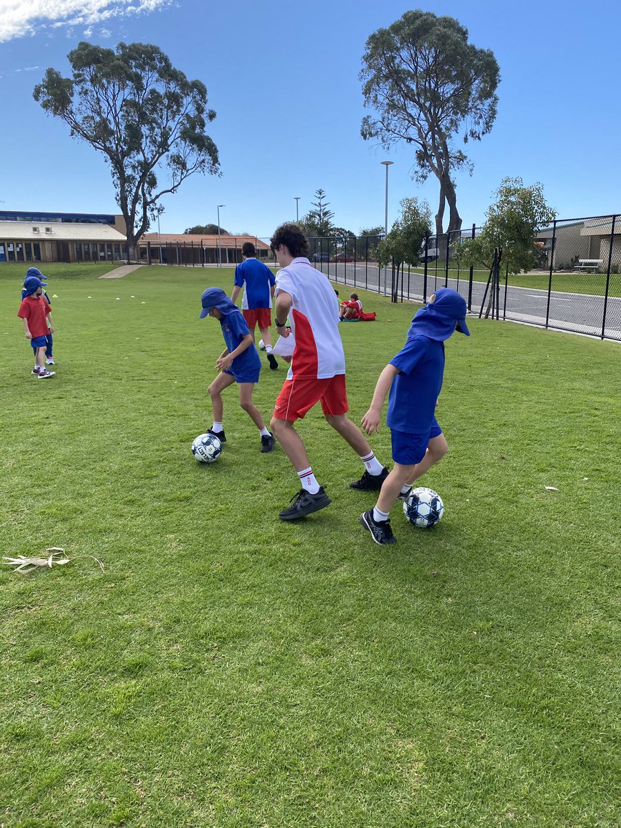 cps_whitford's tweet photo. The Year 3s had their final coaching session with the Year 10 PE Studies students from @SHC_WA. We have loved our soccer afternoons and learning new skills! https://t.co/hlVZNzY6pP