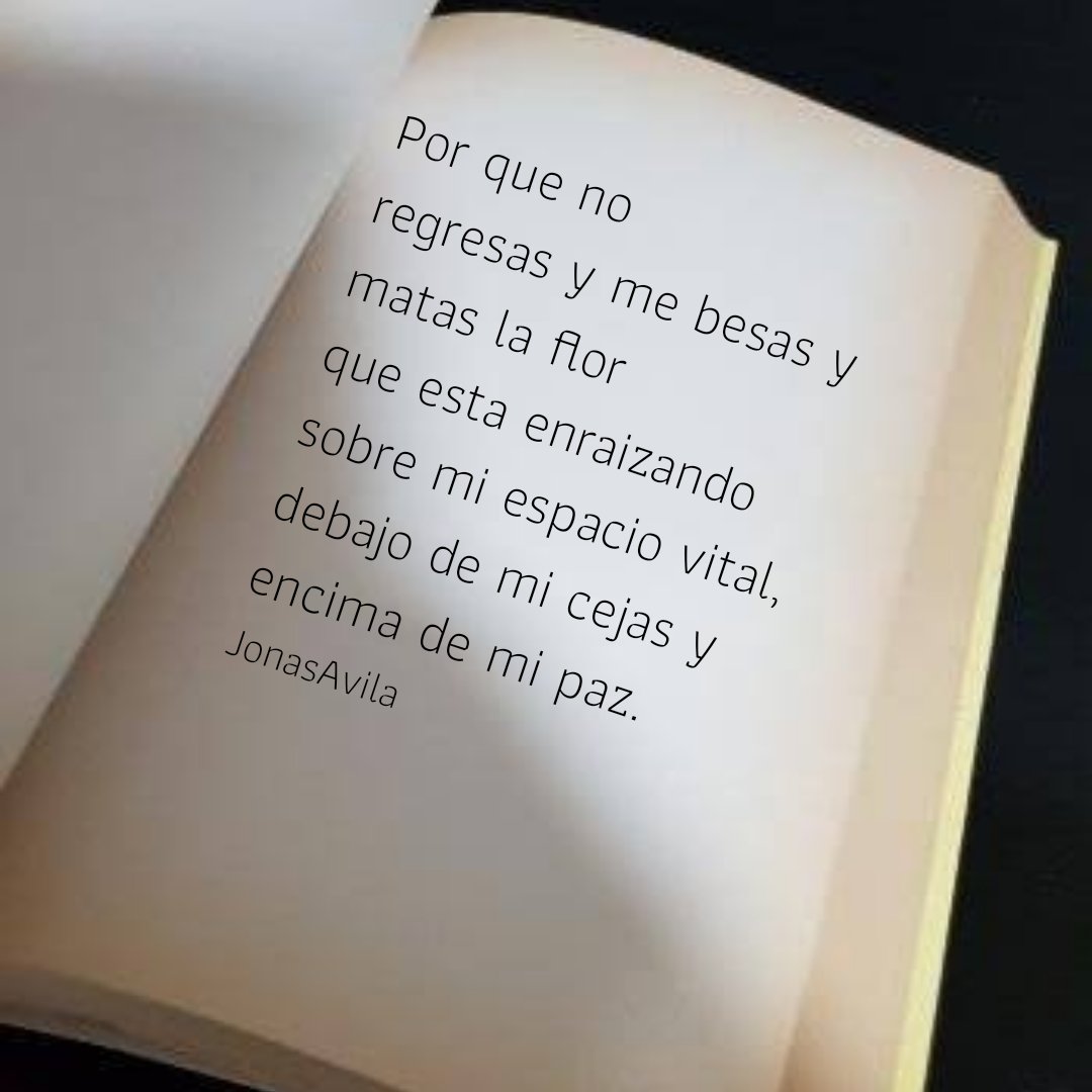 Jonas AvEs tweet media