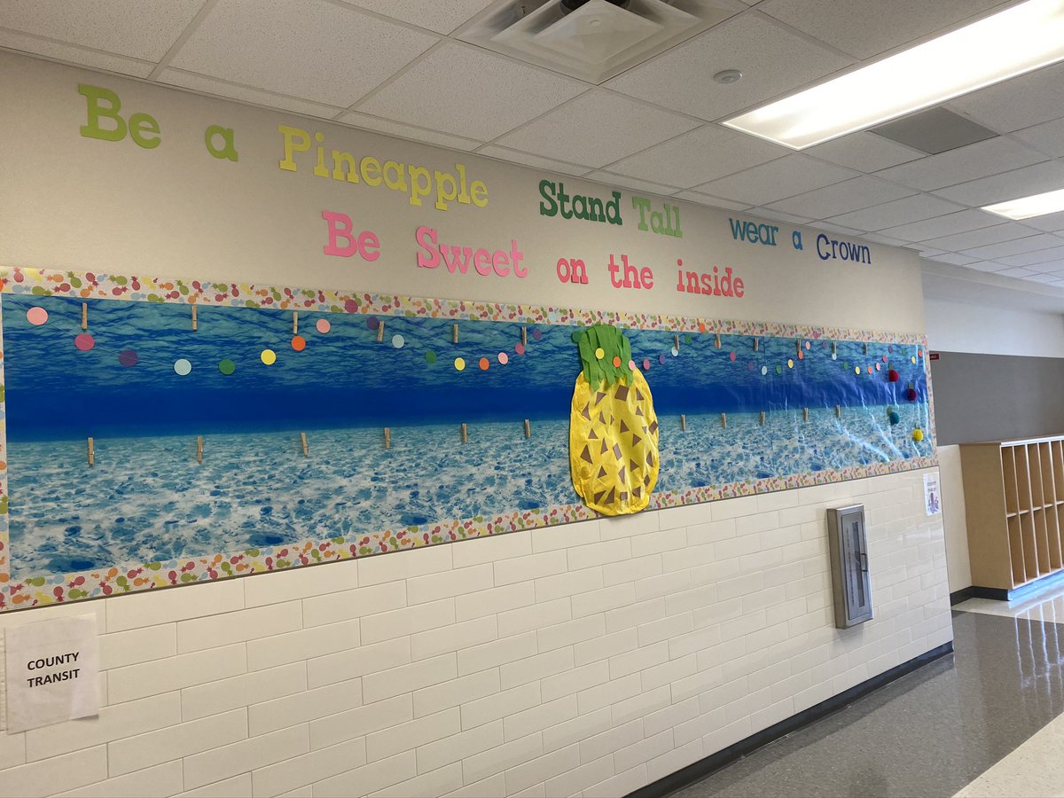 Bailey2706's tweet photo. The 2020-2021 school year starts tomorrow. I’m so excited to be back in the classroom teaching. Things are different this year than they have been in the past. I’m so ready to watch my sweet students grow. https://t.co/3kdPz8GKI8