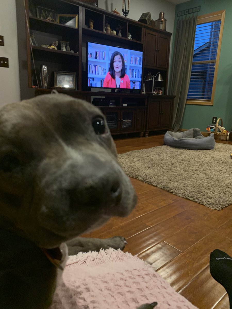 Hazel Devick tweet media