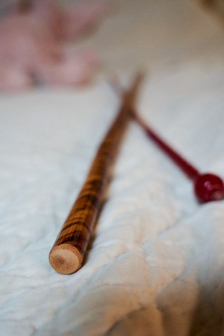 I got some new toys for @sofia_bun to play with.  First up, a new, much more intimidating cane from @Canes4pain<a class="tags" href="/tag/sofia_bun">@sofia_bun</a>