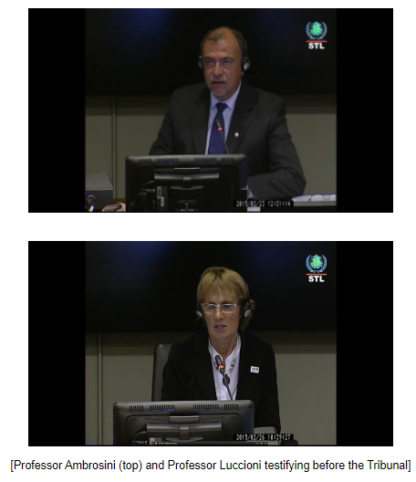 Feb 2015 "international explosion experts" Profs Daniel Ambrosini & Bibiano Luccioni from Argentina gave testimony about how they used computer models to determine that an above-ground bomb was responsible for the explosion25/ http://lebanontribunal.blogspot.com/2015/04/international-explosion-experts.html