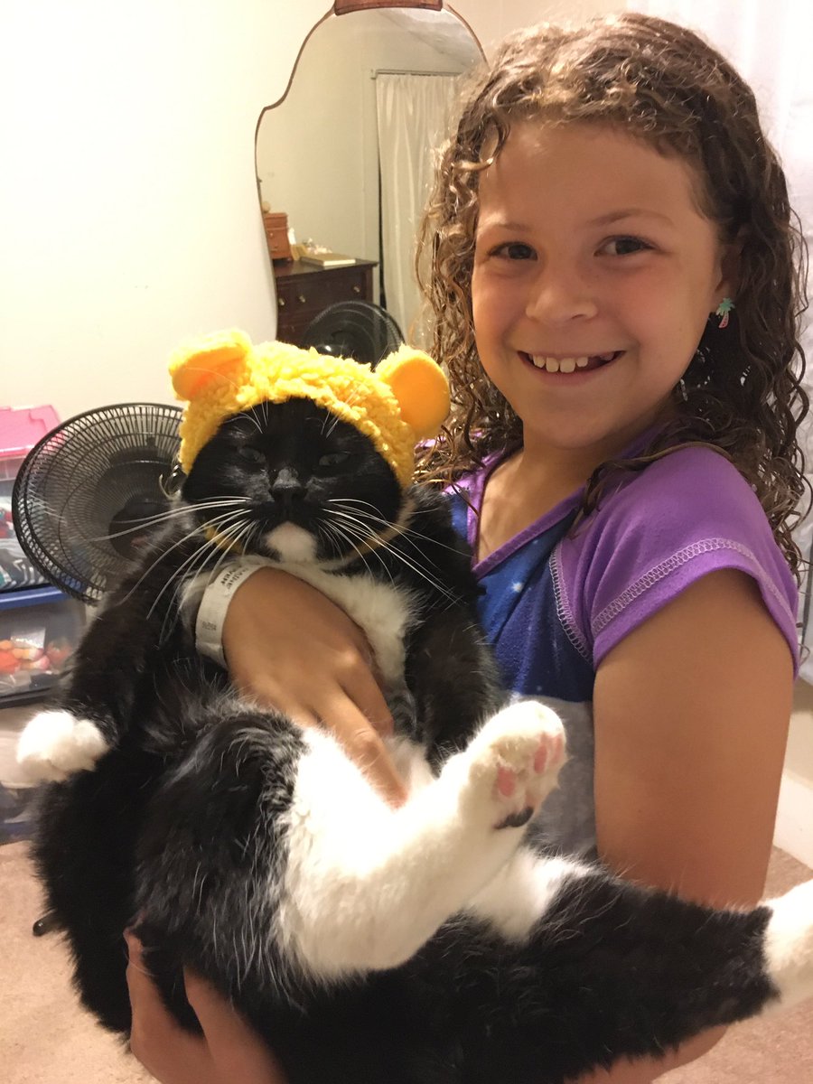 RuthJoyce's tweet photo. Pretty sure my cat is cursing 2020 too. #sorryMoonblaze https://t.co/YHsXWwXBbO