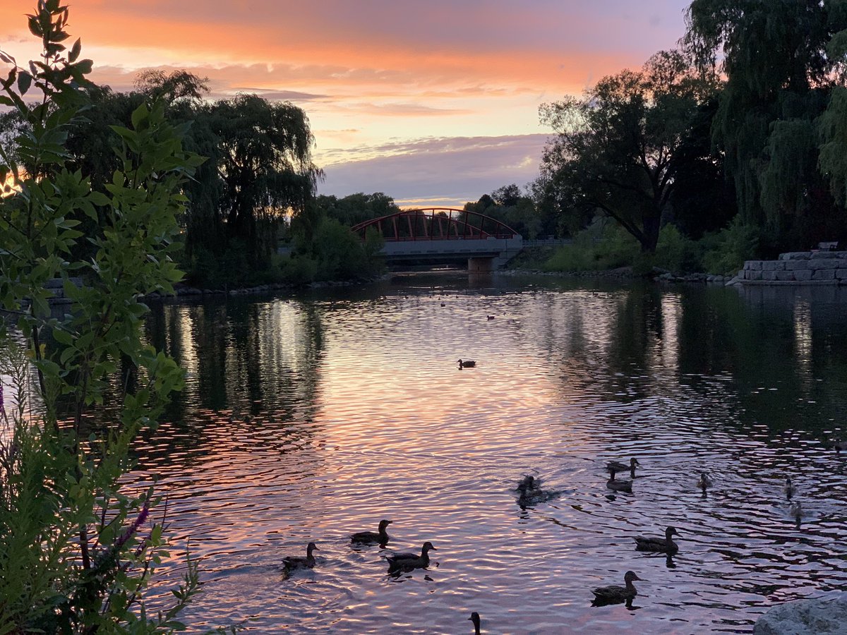underthescope2's tweet photo. Beautiful sunset https://t.co/KQm9kG9FTa