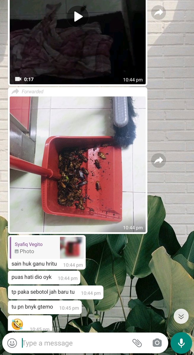 agentkillit's tweet image. Puas hati dapat feedback dari dropship kami. Lipas boleh buat panggang ni banyak gilaa weii. Ni hasil guna 1 botol, cust ckp klau guna 2 botol mesti bersih 1 rumah ahaha

Untuk order nnti boleh ws sy terus tau 😘

wasap.my/60194511416/or…