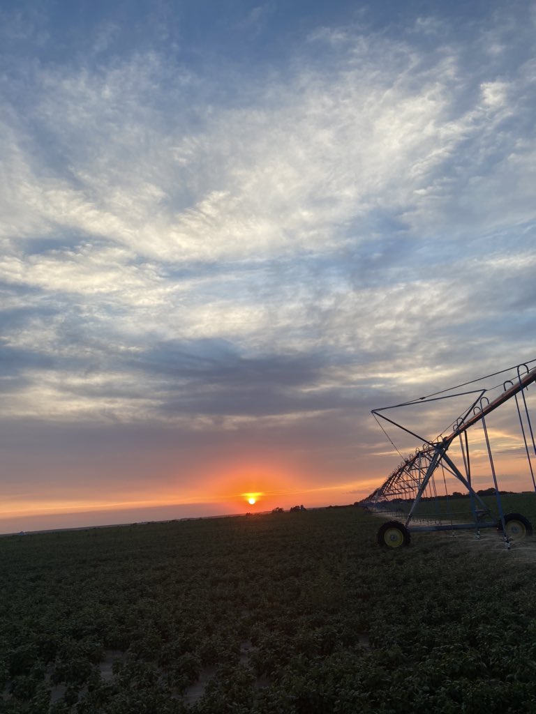 ajw545's tweet photo. Your #easterncolorado pinto bean sunset. @LassMike https://t.co/J6aoWGu8zT