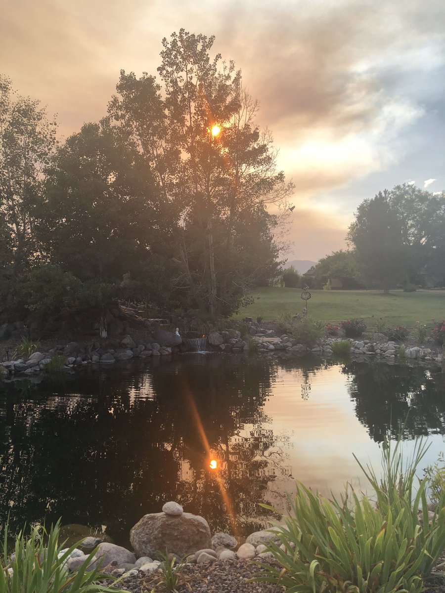 RobintobinTobin's tweet image. 