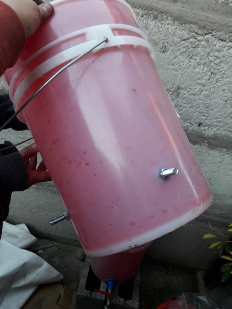 fcomnz's tweet image. Tarde de entretenimiento #compostera