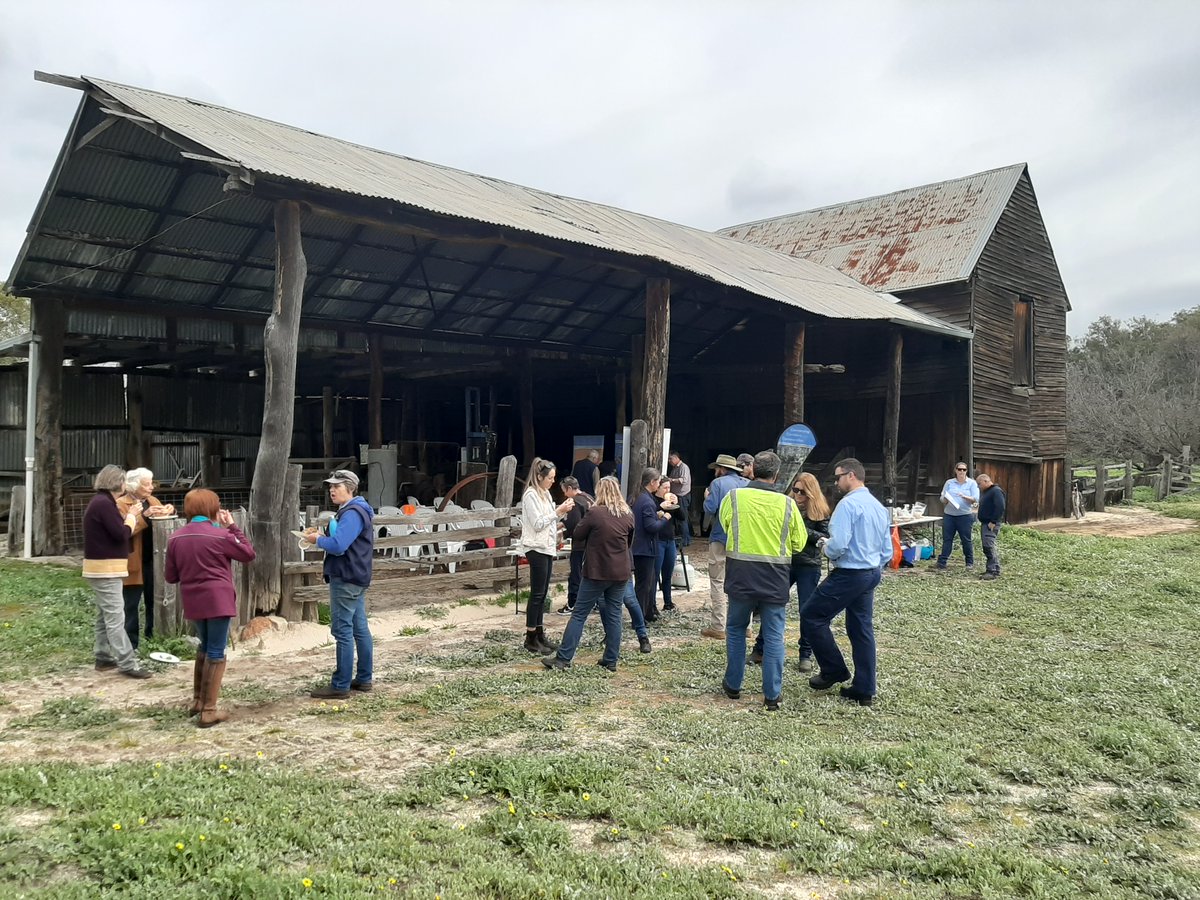 Jesse_Rowley5's tweet photo. #PeopleofNRM across the P-H Catchment came together recently to learn all about the benefits of #DungBeetles and how these amazing creatures can not only help to increase soil pastures but also help in decreasing populations of bushfly. #SaveOurSerpy @AlcoaFoundation @AusLandcare https://t.co/wvs9NindAB