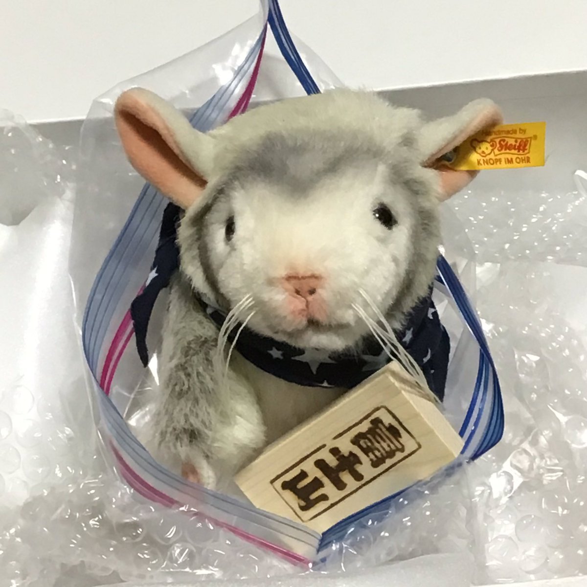 山田꒰՞ ܸ. . ܸ ՞꒱四畳半 tweet media