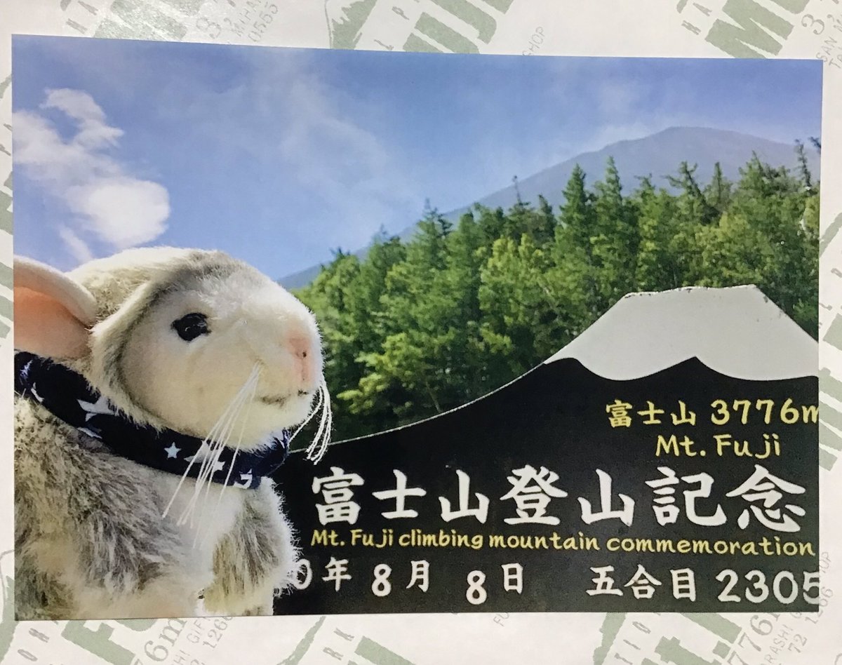 山田꒰՞ ܸ. . ܸ ՞꒱四畳半 tweet media