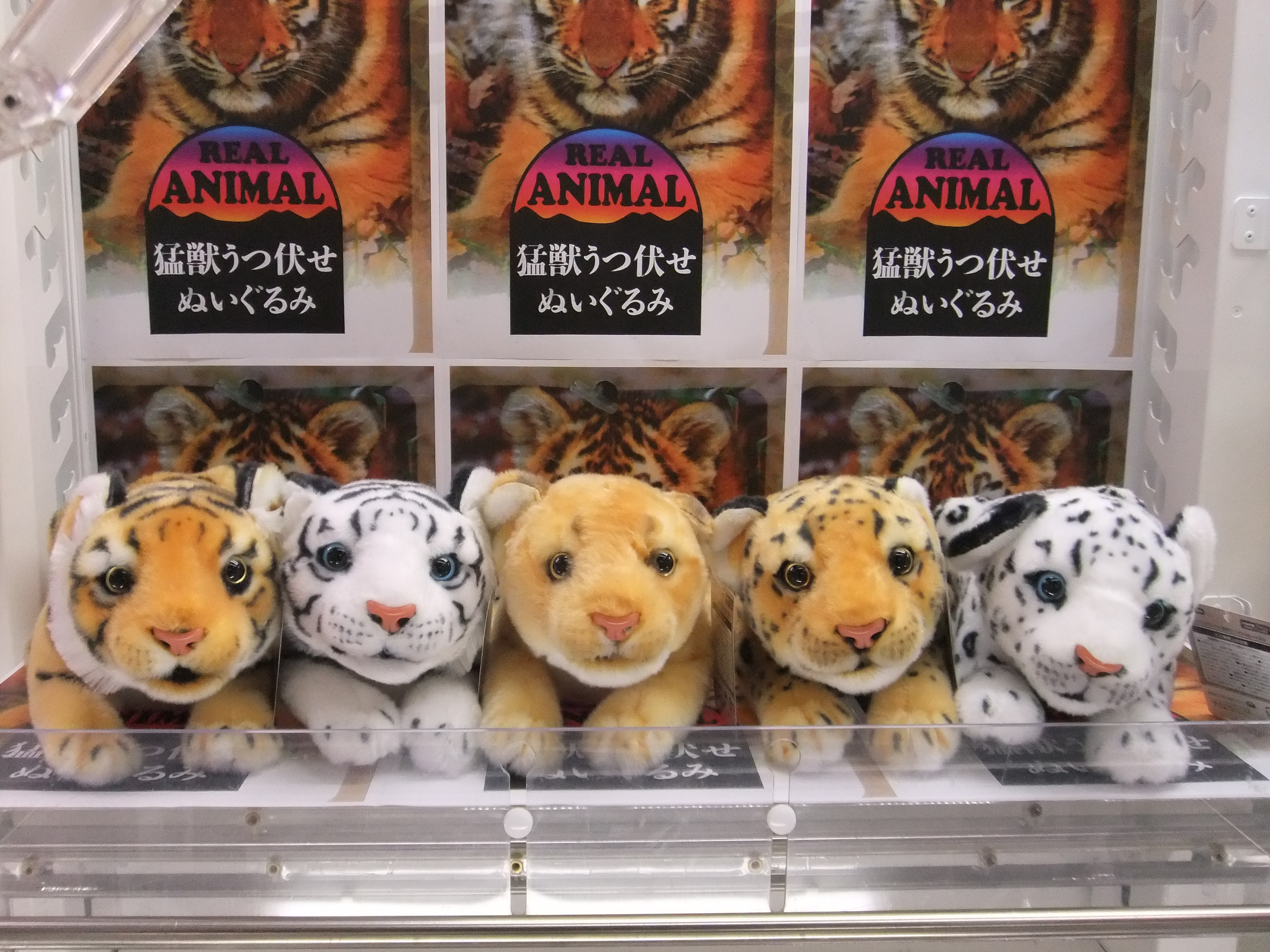 Amazon.co.jp: Chiikawa Pop UP Shop (Osaka, Umeda) Chiikawa