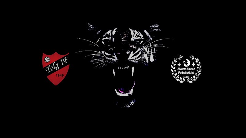 tolgtigers's tweet photo. Hemmamatch! 
Alvesta United FK står för motståndet. 
Avspark 18:45 Dackevallen. 
#GoTigers https://t.co/NGkyK0ko8G