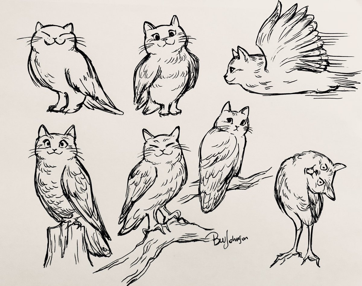cat owls 