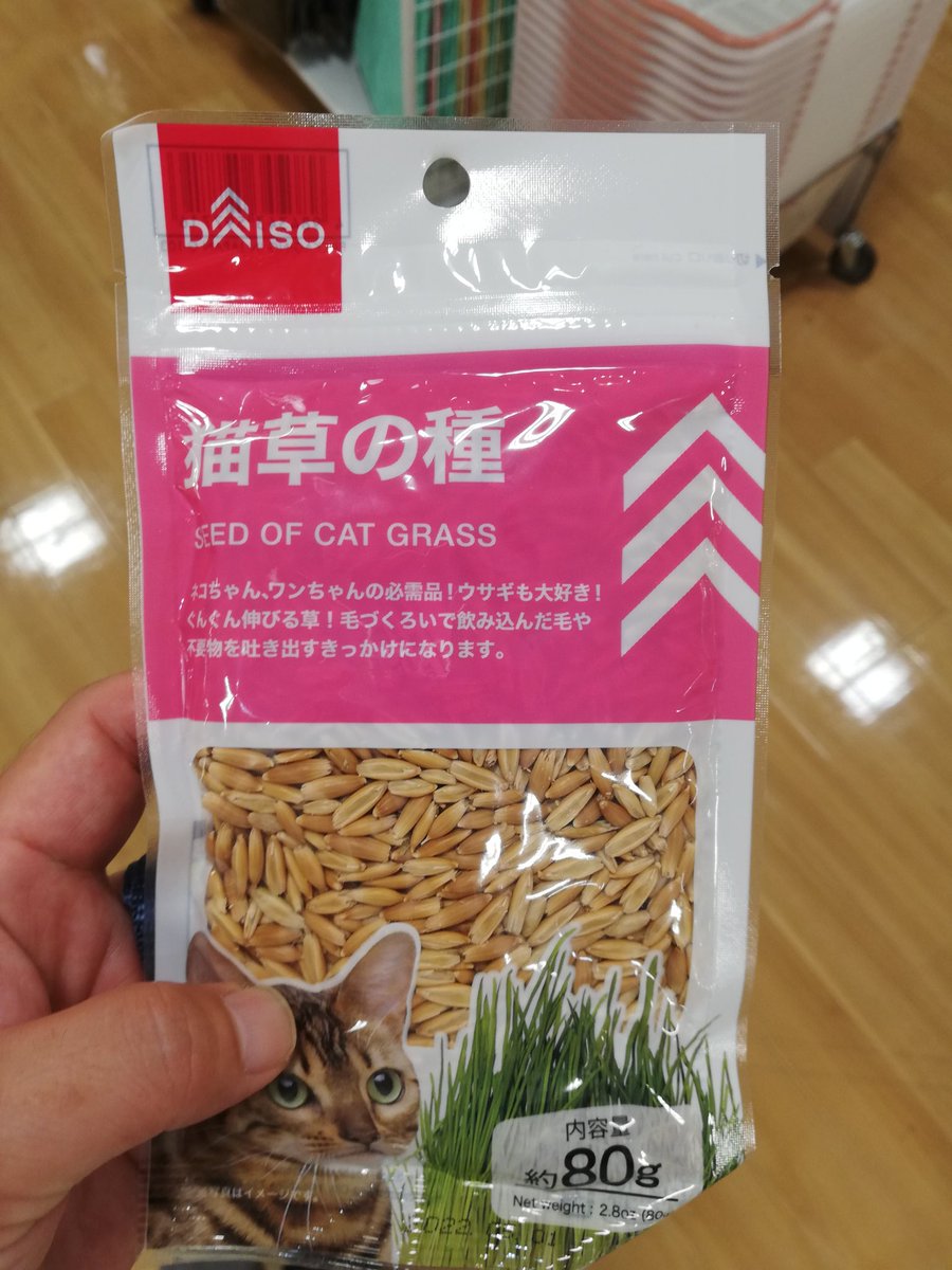 爽快 なんだ Daisoに猫草の種売ってたのか 猫のいる暮らし 猫好きな人と繋がりたい 猫草 ダイソー