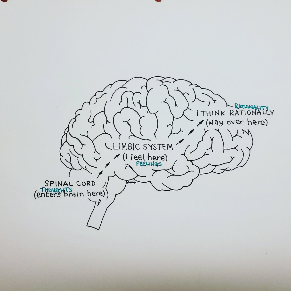 MentalCoaster's tweet photo. Psychward musing #thoughtprocess #MentalHealthAwareness #Bipolar #ADHD #bpd #brainscience #drawing #artwork https://t.co/2abK3Iehnc
