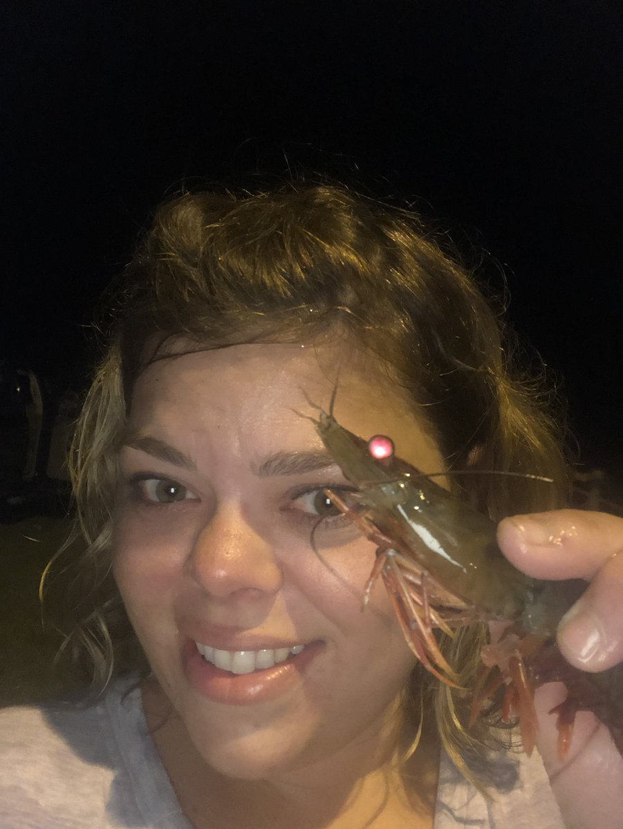 skelleyJones's tweet image. Tis the Season 🦐
#castnet #stockinthefreezer #latenightsunderthelight