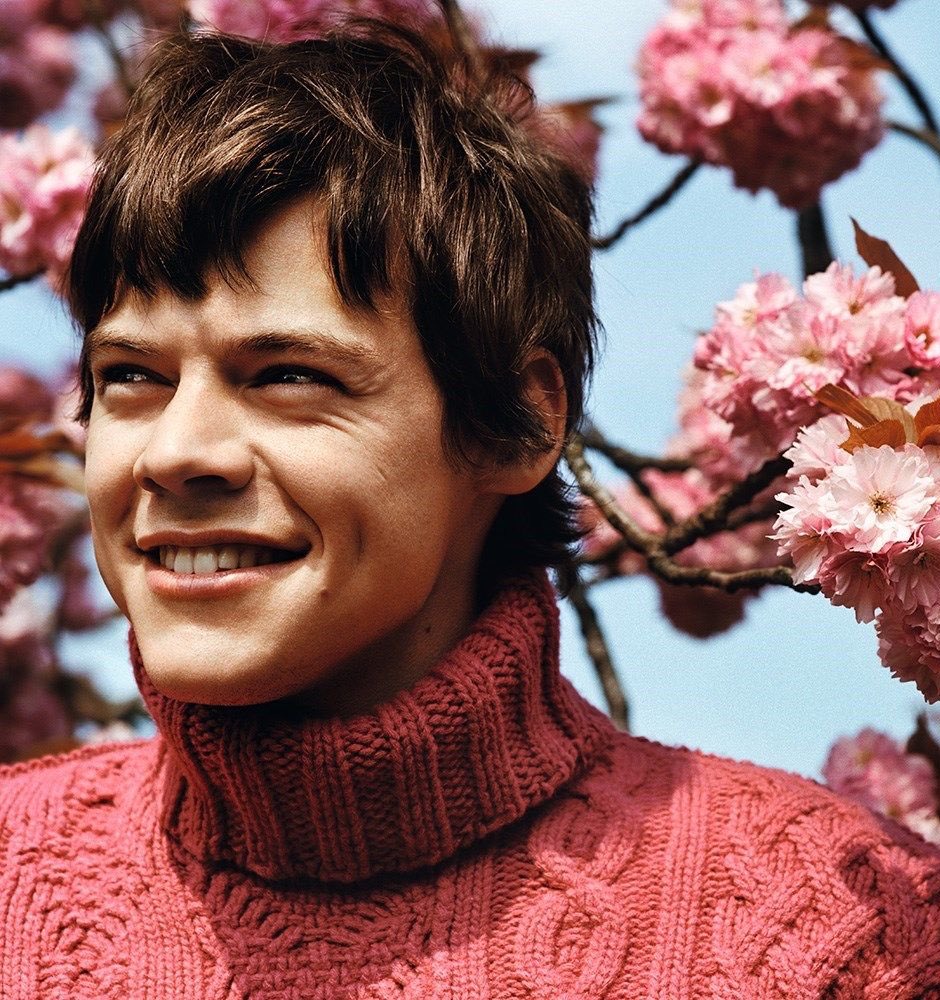 harry styles as cats: a cute and necessary thread