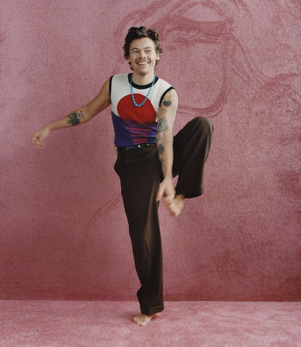 harry styles as cats: a cute and necessary thread