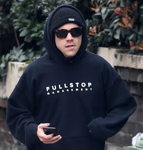 harry styles as cats: a cute and necessary thread