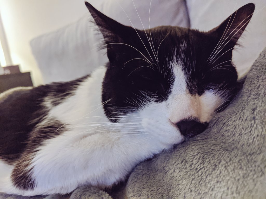 Así quedamos después de un fin de semana largo a pura preparación para <a href="/NotPinkCon/">NotPinkCon</a> y un poquito de Fall Guys!