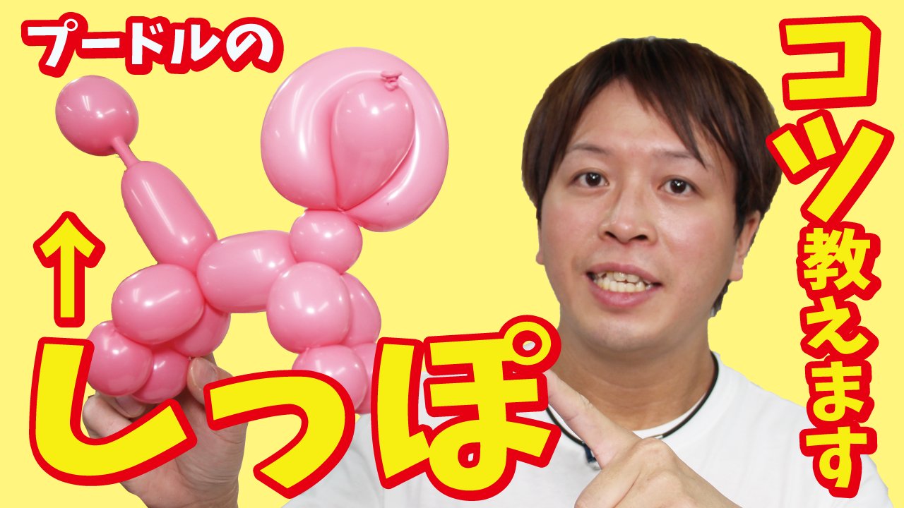 Jou 風船最速お兄さん Twitterissa しっぽが苦手な方はご参考くださいませ How To Make A Poodle Tail Balloon Art バルーンアート プードルのしっぽの作り方 T Co Kn1409zpfd Joutv バルーンアート プードル しっぽ コツ Poodle Balloons