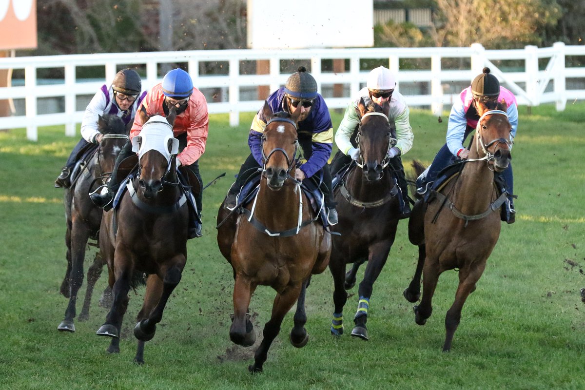 UnitedSynd's tweet photo. IMMORTAL LOVE in super order trialing terrific this morning in the blinkers for @MickPriceRacing @MichaelRhysKent and heads to the GROUP 3 McNeil @MelbRacingClub Saturday week for a terrific loyal ownership group! https://t.co/L2ol7Lezrg