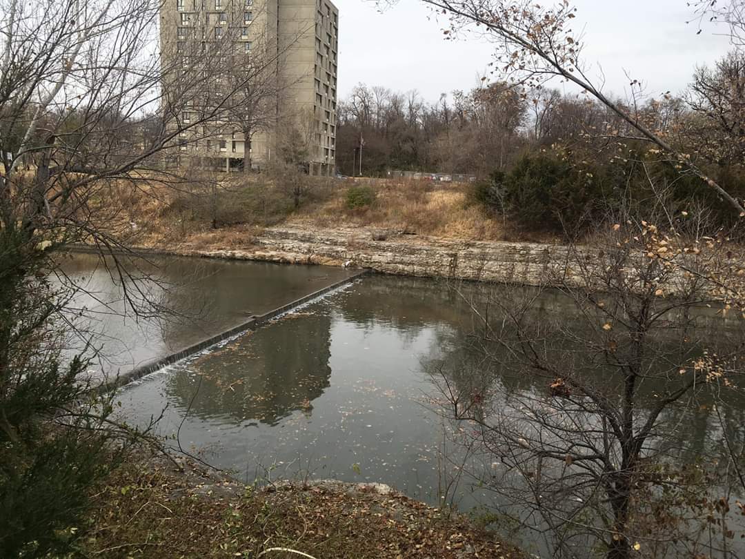 Nice view of the Brush Creek Bluffs from MLK Jr Park.