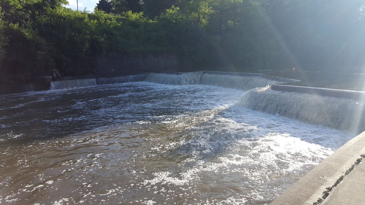 Friends of Brush Creek (@brushcreekkcmo) on Twitter photo 