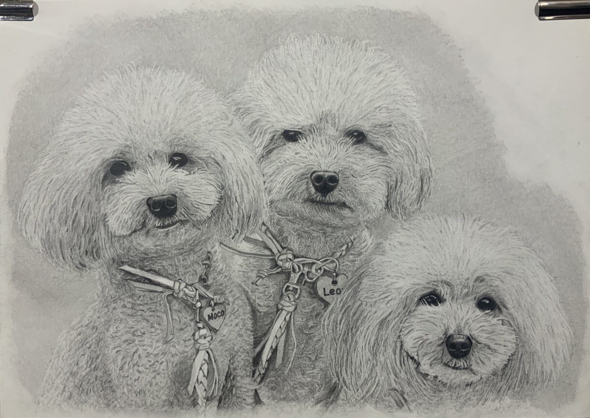 犬画 Twitter Search Twitter