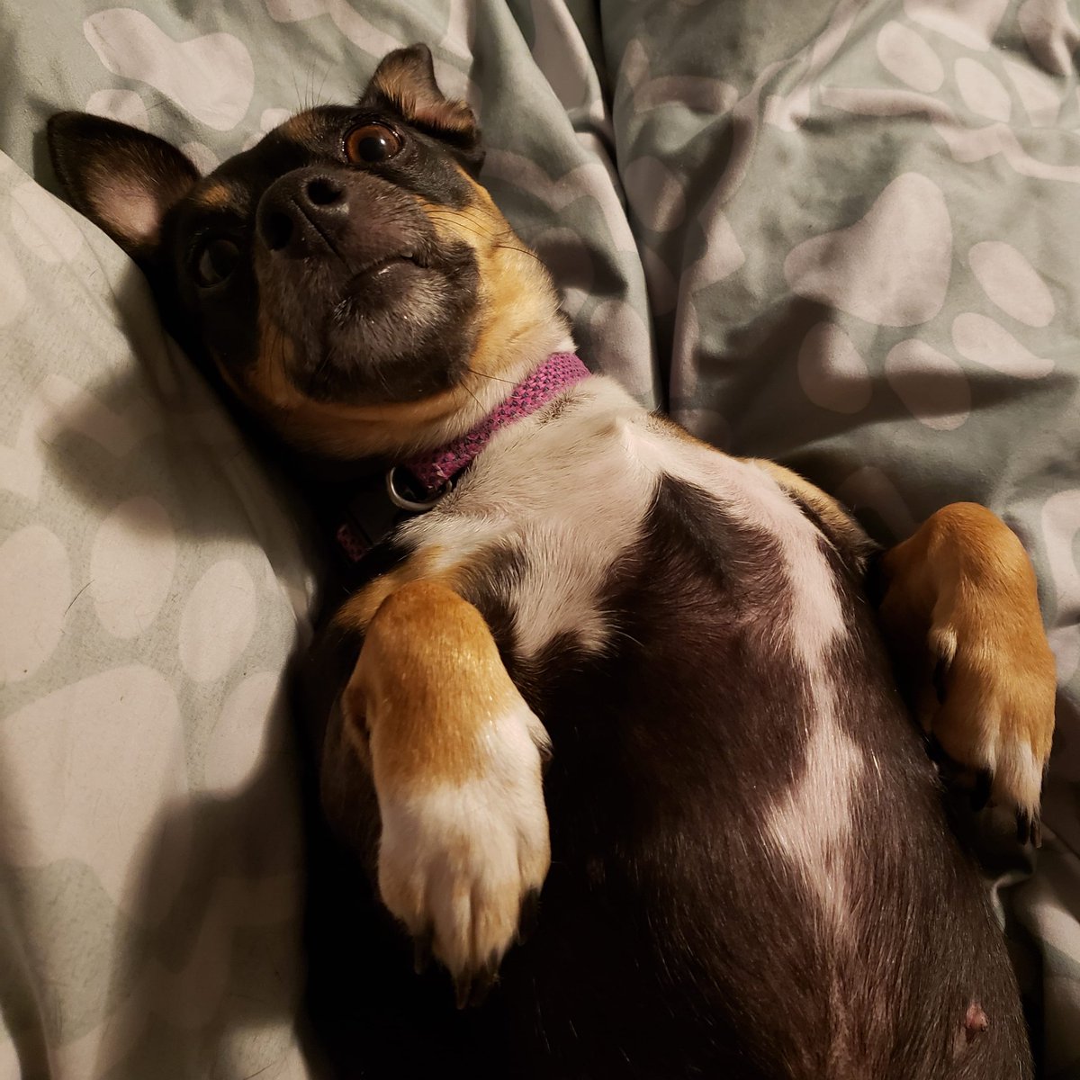 Melissa Minor tweet media