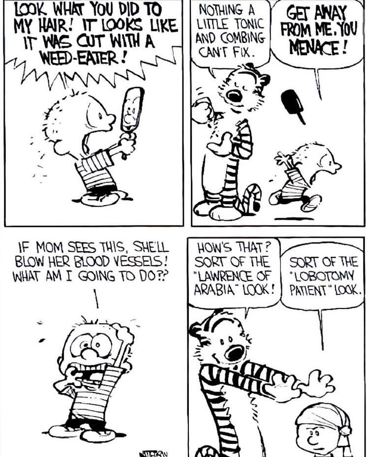 Calvinn_Hobbes's tweet photo. NOOOOOO #calvinandhobbes https://t.co/erzVcQMCHz