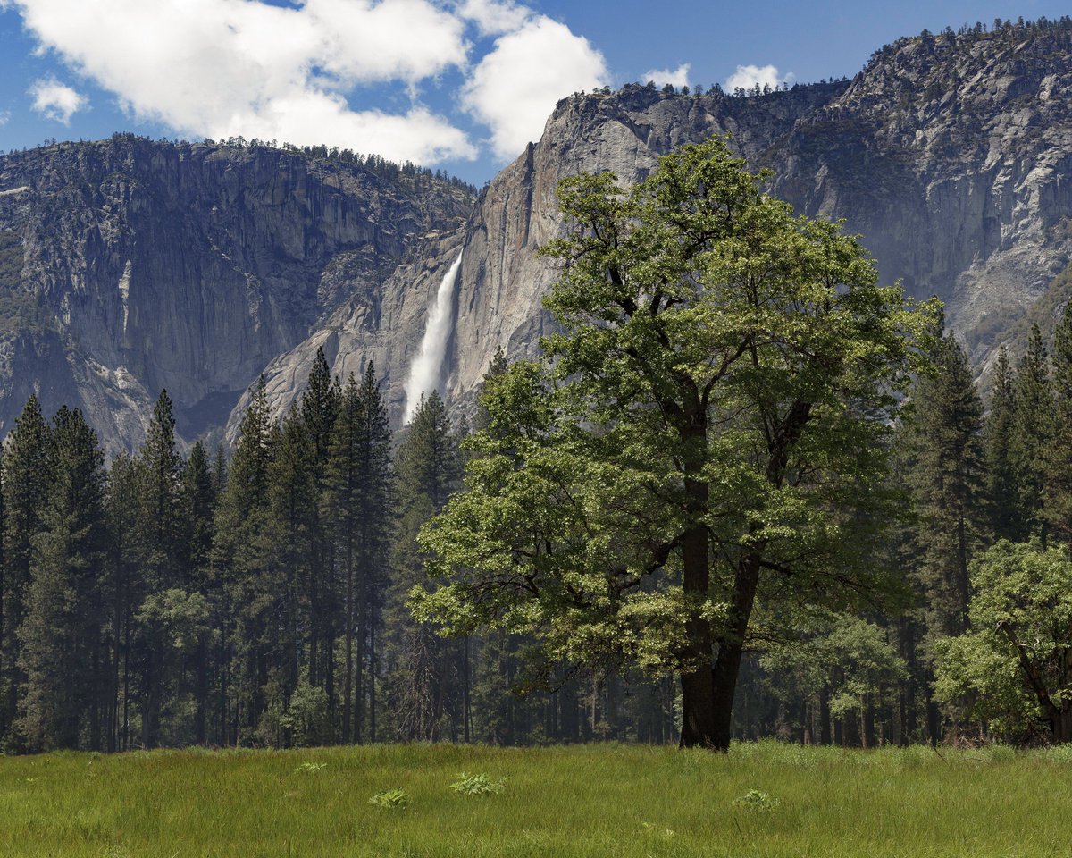 My home for the next 6 days finally feeling well #yosemite