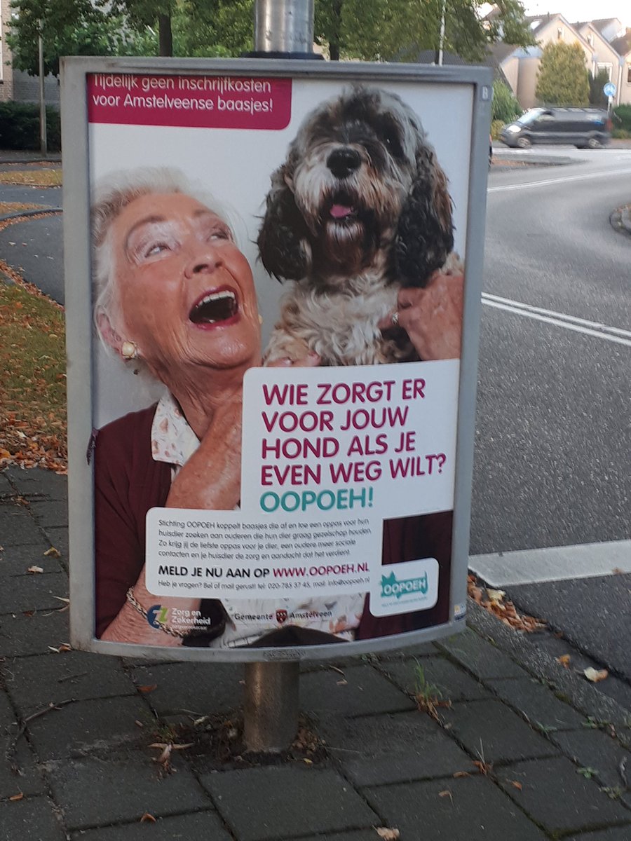 Wie zorgt er voor jouw hond als je even weg wilt? Meld je aan bij <a href="/OOPOEH/">Stichting OOPOEH</a> #Amstelveen
