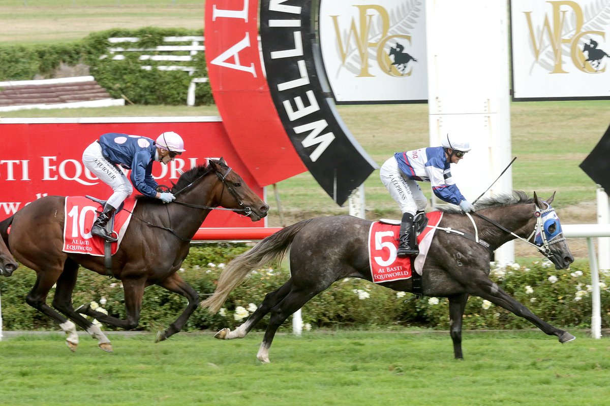 nzracingnews's tweet photo. NEWS: @_GoRacing #SentimentalMiss has made an immediate impression in Australia winning her trial at Randwick on Tuesday
https://t.co/82aiewHX7d https://t.co/JZ2x347xr6