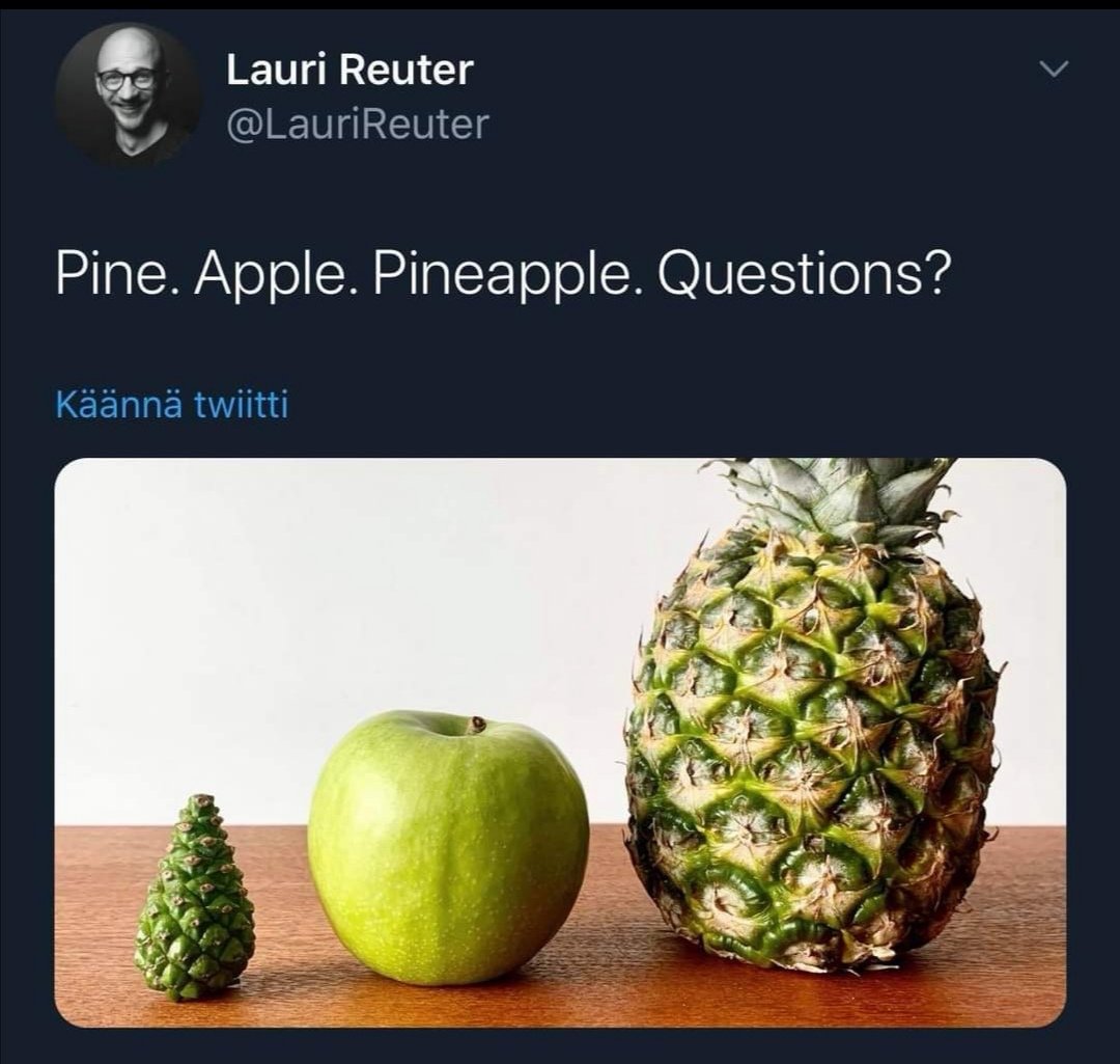 Selitys oli silmieni edessä. #pine #apple #pineapple
