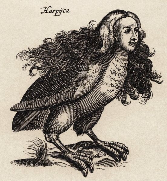 Through Homer the harpies became cruel spiteful creatures and their features changed to match. They were now depicted with sharp beaklike faces, drooping withered chests and grasping talons.The bird features exaggerated, the human ones diminished: From angelic to demonic. /6
