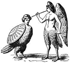 Earlier depictions of harpies describe them as beautiful woman/bird hybrids; the daughters of sea god Thaumas and Electra an Oceanid. They would use their wings to glide effortlessly over the Aegean Sea during thunderstorms. 5/
