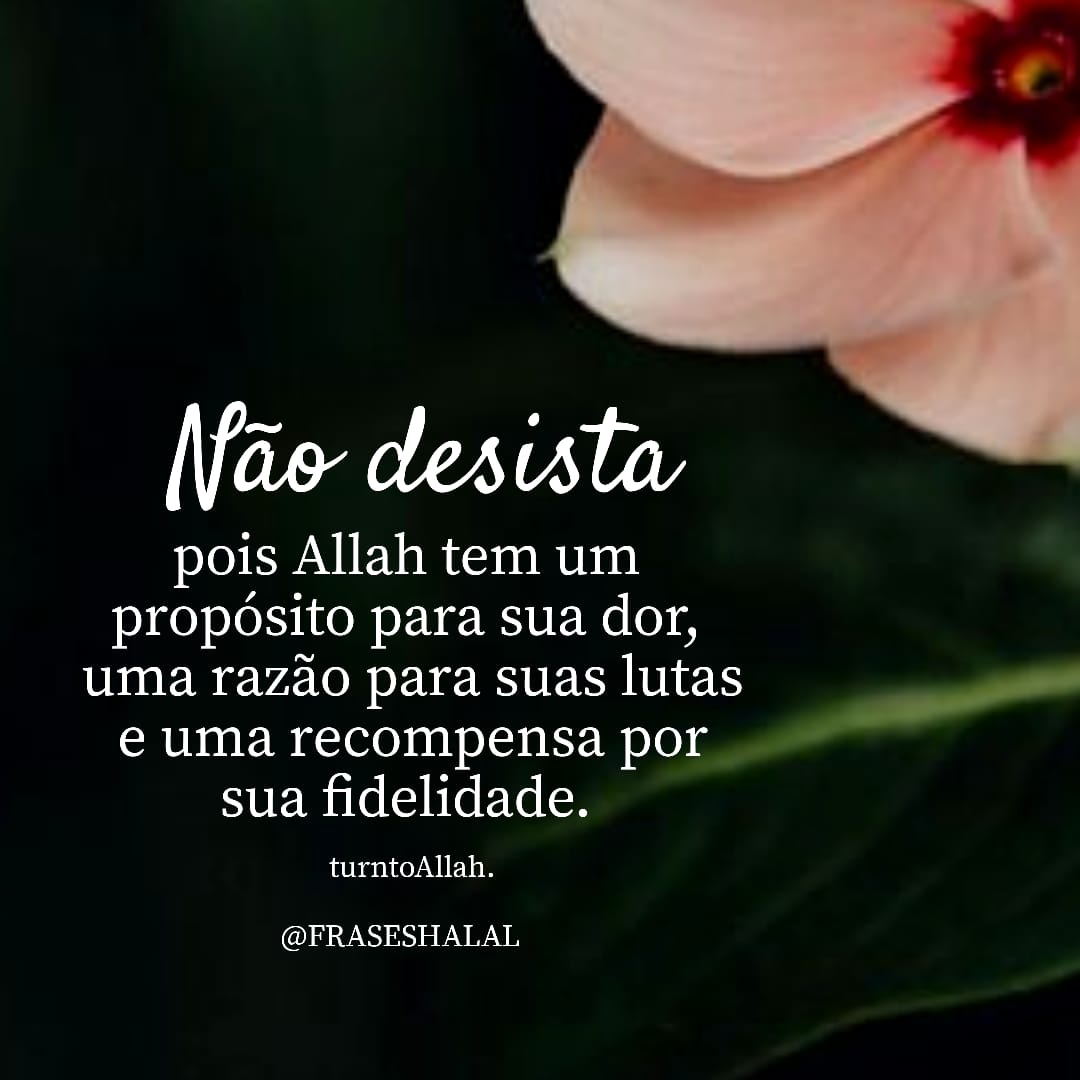 ydcgdd's tweet photo. #islambr #islammz #Deus #frasesIsam #muçulmanos #muçulmana https://t.co/BEZqjZQFwC