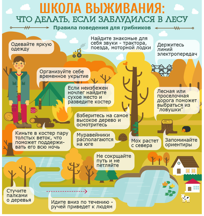 Сектор ГО и ЧС (@sektorgochs) on Twitter photo 